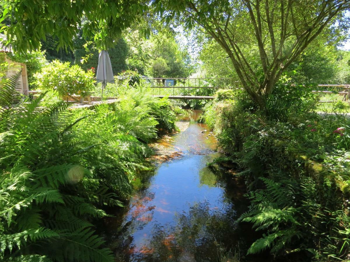 Le Moulin De Pensol - Gites Luaran gambar