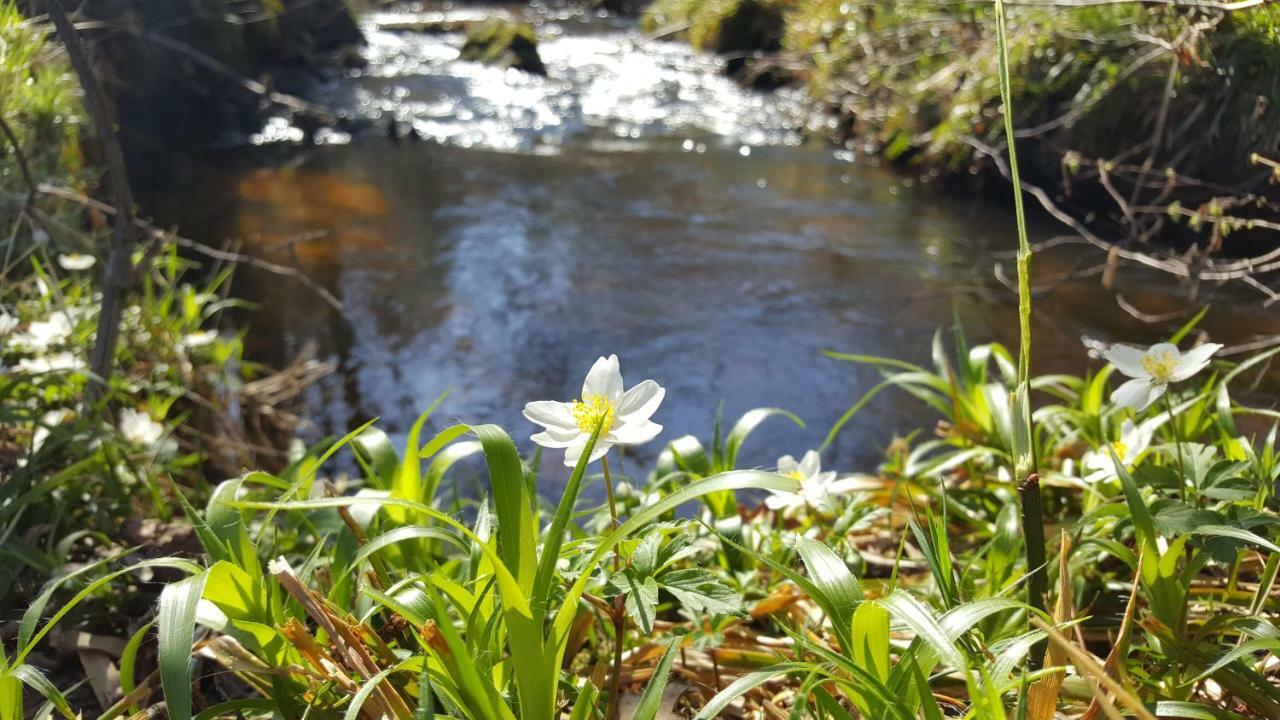 Le Moulin De Pensol - Gites Luaran gambar